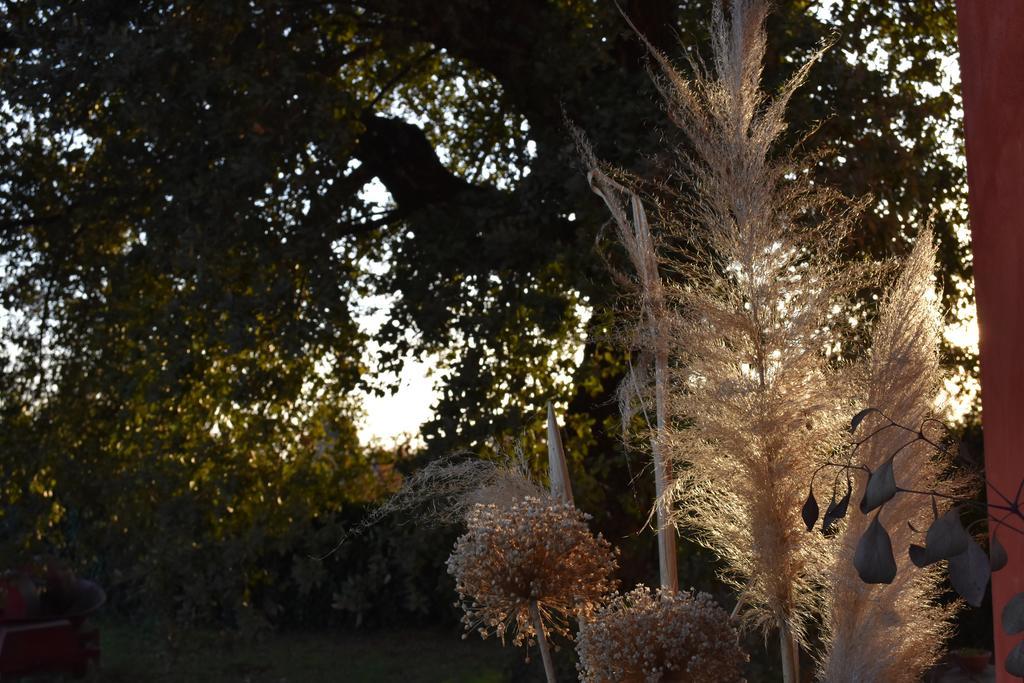 Country House Fam Polucci Cave Εξωτερικό φωτογραφία